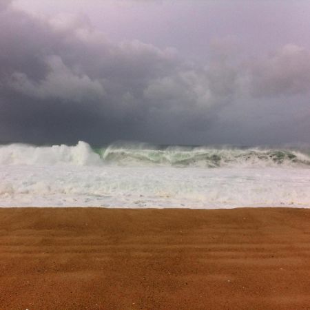 Serra Da Pescaria House - Nazare Bagian luar foto