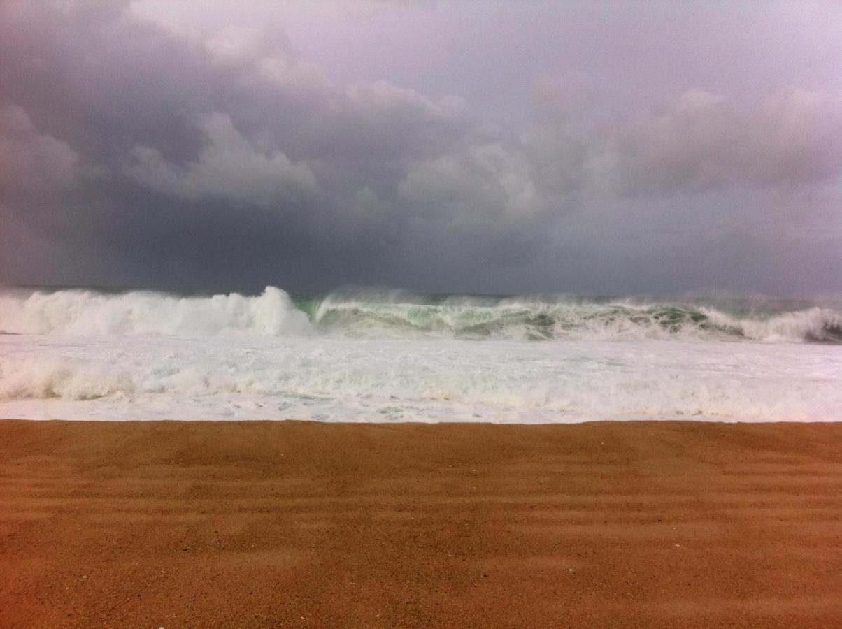 Serra Da Pescaria House - Nazare Bagian luar foto